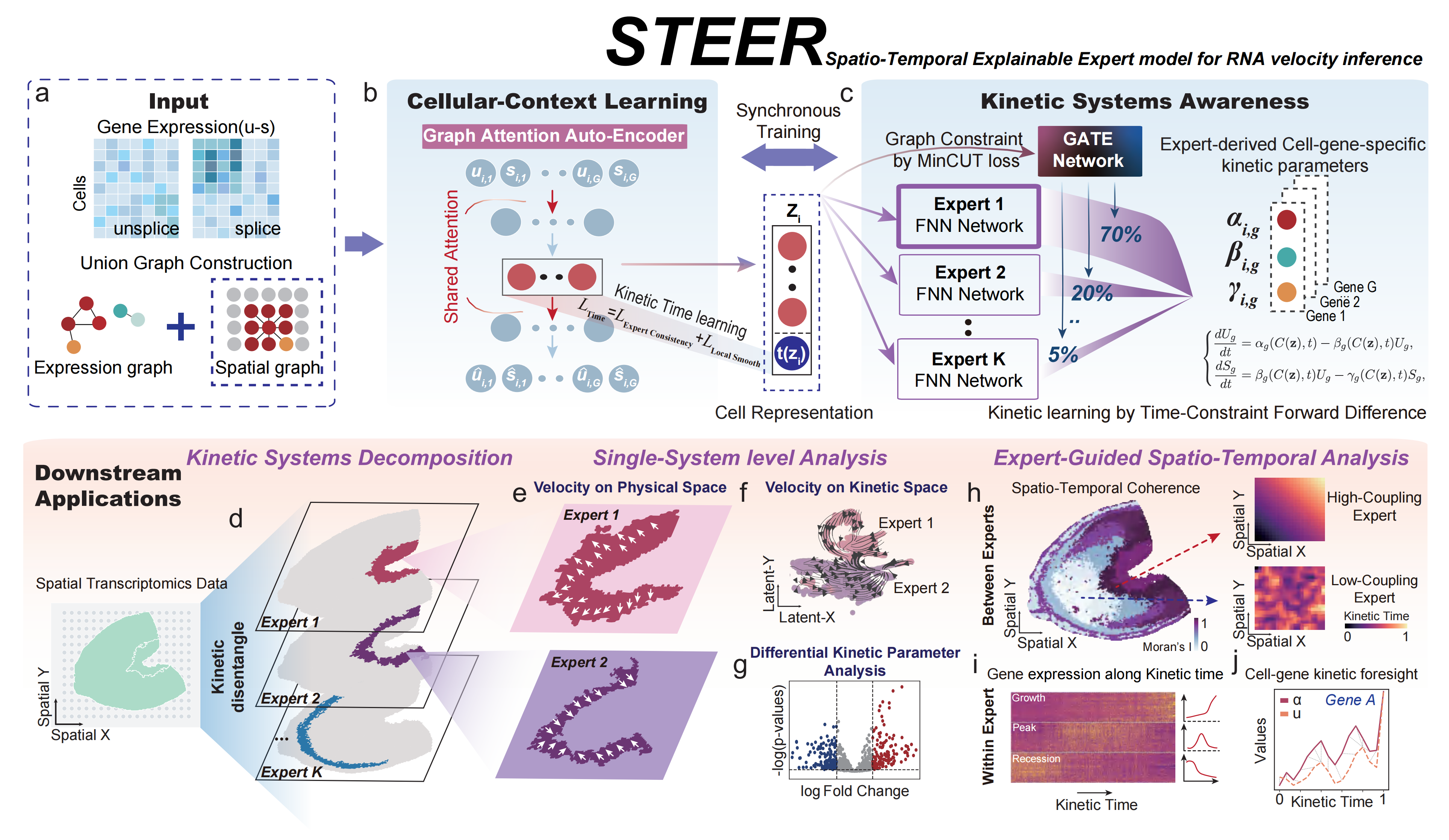 STEER method overview